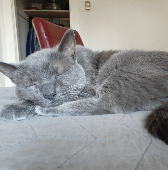 Meet your Posher, Paul - Picture 1 of 1